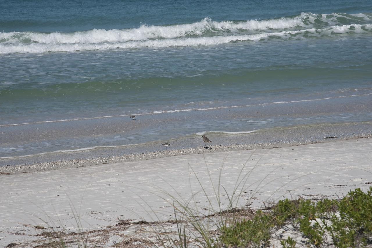 Bungalow Beach Resort Bradenton Beach Luaran gambar